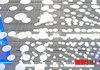 컴퓨터아트 현주소, 서울대 미술관 'Data Curation'