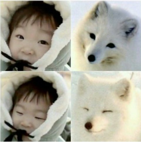 download.jsp?FileID=31365585