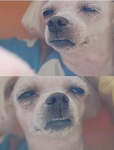 download.jsp?FileID=31691557