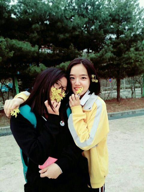 download.jsp?FileID=32494195