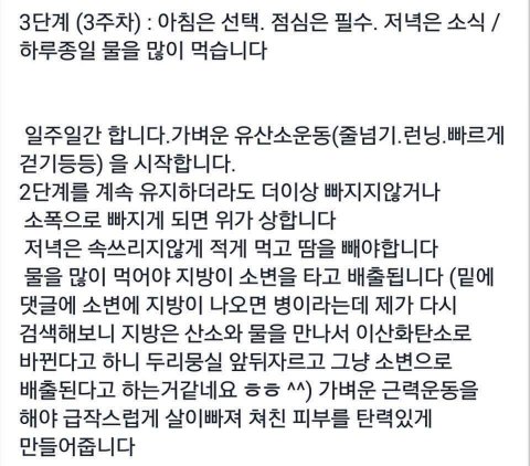 나 이 다이어트 해볼건데 어때? | 인스티즈