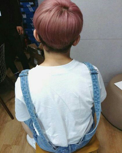 download.jsp?FileID=33447563