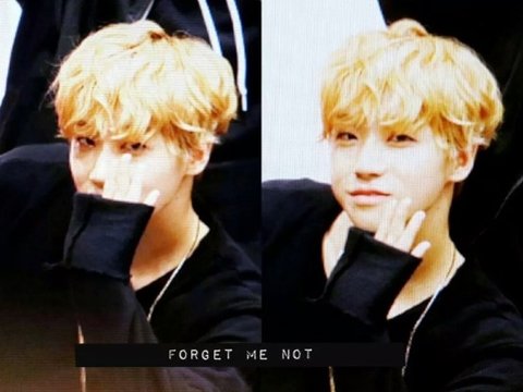 download.jsp?FileID=33568700