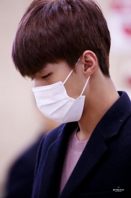 download.jsp?FileID=33763732