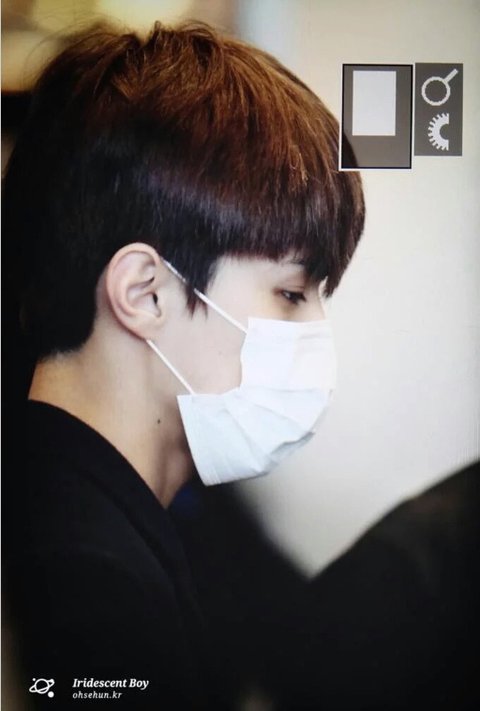 download.jsp?FileID=33763734