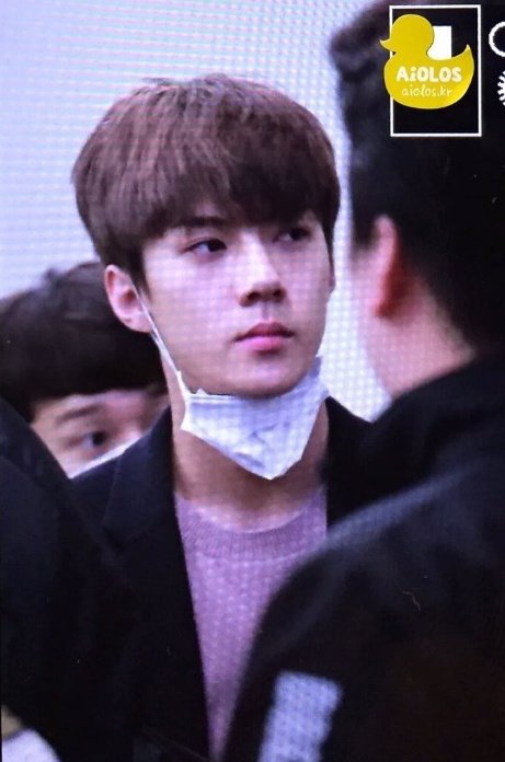 download.jsp?FileID=33763738