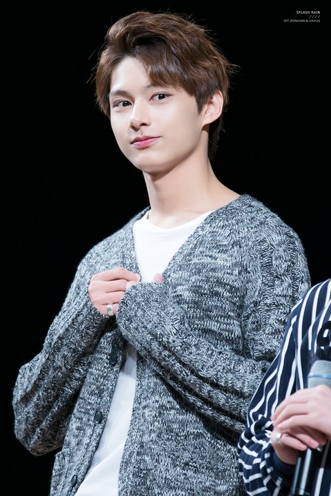 [pannchoa][enter-talk] SEVENTEEN MEMBER WHO WAS ORIGINALLY A CHINESE