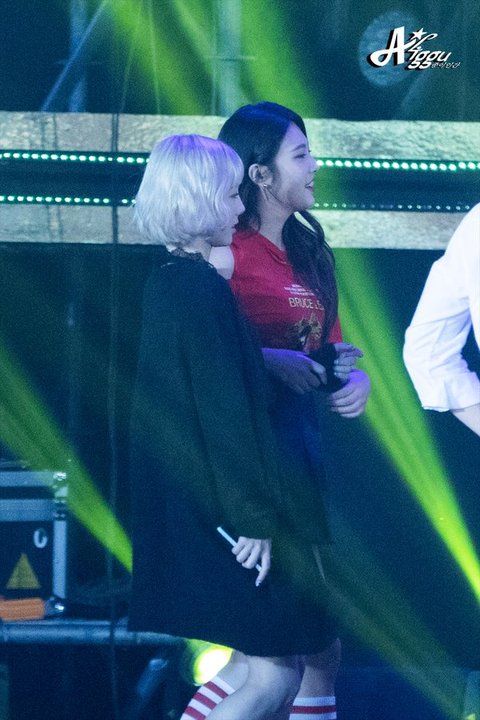 download.jsp?FileID=34587308