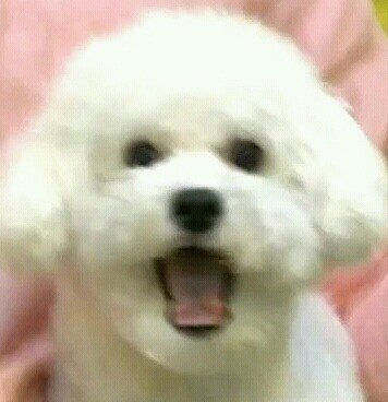 download.jsp?FileID=37645640