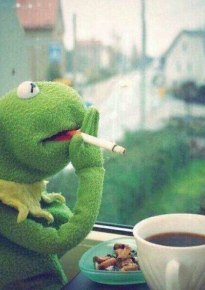 download.jsp?FileID=37986648