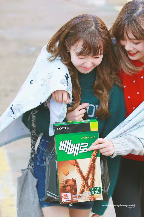 download.jsp?FileID=38514101