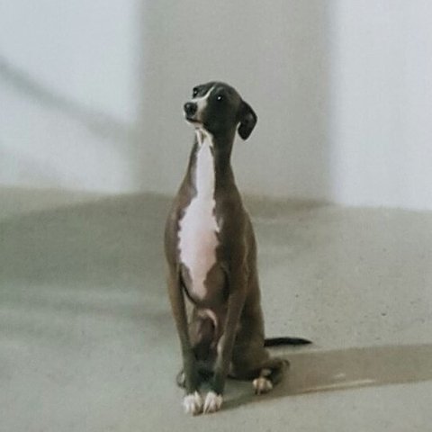 download.jsp?FileID=41437725