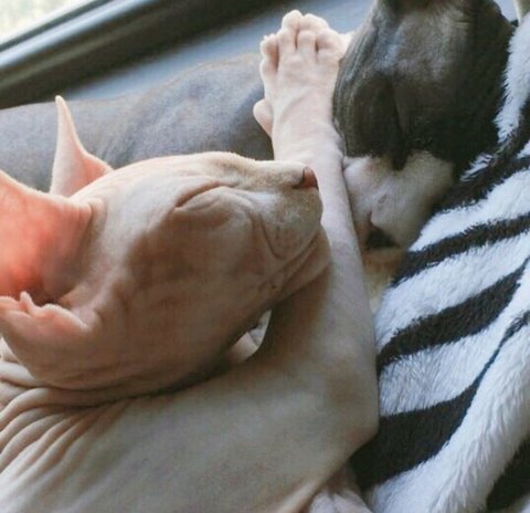 download.jsp?FileID=41437726