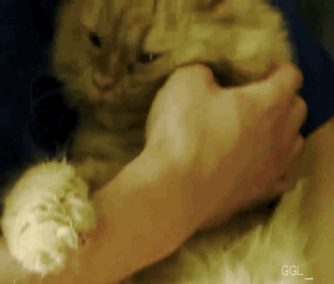 download.jsp?FileID=41437727