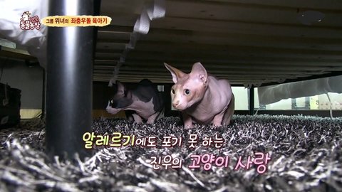 download.jsp?FileID=41437731