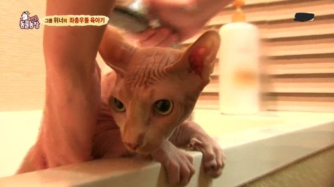 download.jsp?FileID=41437732