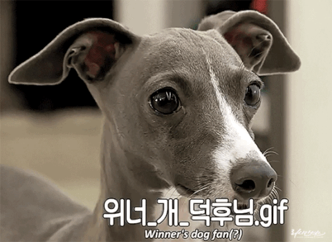 download.jsp?FileID=41437734