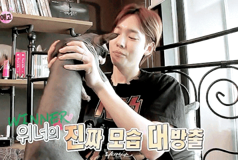 download.jsp?FileID=41437735