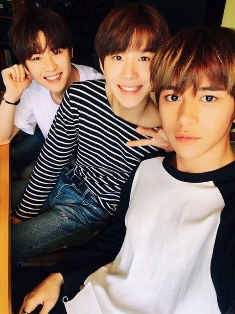 download.jsp?FileID=42447894