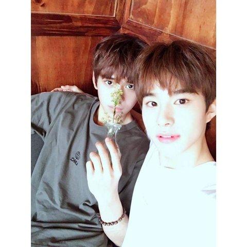 download.jsp?FileID=42447897