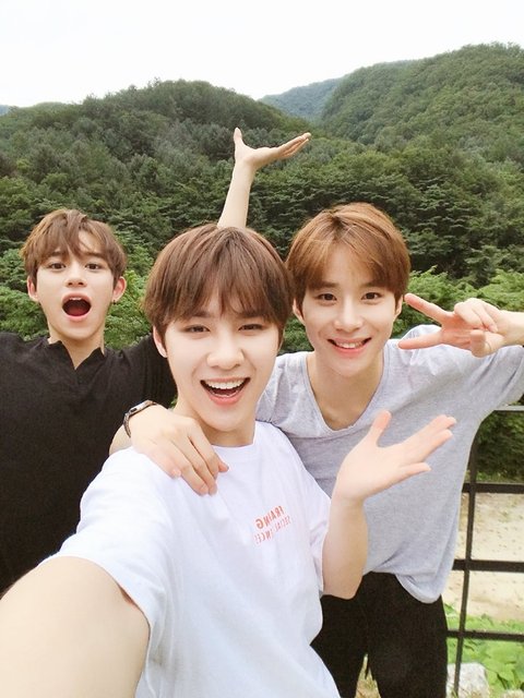 download.jsp?FileID=42447898