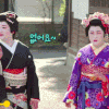 프로필사진
