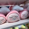 프로필사진