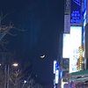 프로필사진