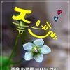 프로필사진