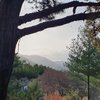 프로필사진