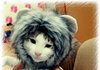 [판에서 만난 마늘이] 모델 마늘님ㅋㅋ