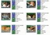 할아버지가 키우던 12마리 고양이들 소식이예요 