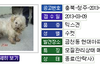 동물보호관리시스템 항의전화해주세요!