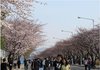 솔로들이여 긴장하라!!!!