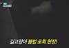 4월5일 먹거리X파인 보셨나요?