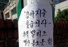 강남삼성동 말티즈남아주인을 찾아드렸습니다!!