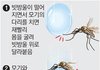 모기가 비를 피하는 방법.jpg