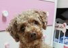 우리집 막내 아들 ! 제이의 엽사? 귀여운 사진 투척!! > _ <