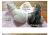 [고양이 이야기] 흔한 부부싸움
