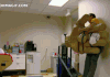 왕손바닥.gif