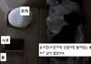 사진有)) 길냥이를 주워왔습니다 병원까지 1주일..어떻게 해야되나요? 도와주세요!!!!!!