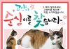 [순심이 실종 27일째] 고양이 탐정들에게 4번 의뢰한 이야기 + 순심이의 슬픈 꿈...