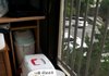 신통이 방통이 은비&꼬미 