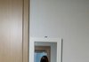 이정도면 하비인가요..