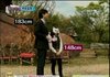 추가>>  153 cm 이하 여자들아ㅋ