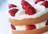 달콤 상큼한 딸기 듬뿍 케이크 모음