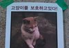 고양이를  보호하고 있다!