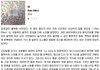 한 음악평론가의 김태희 남친 극딜.JPG