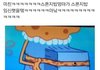 스폰지밥 임신햇을때.jpg