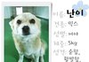 강아지 더이상 사지말고 입양하세요
